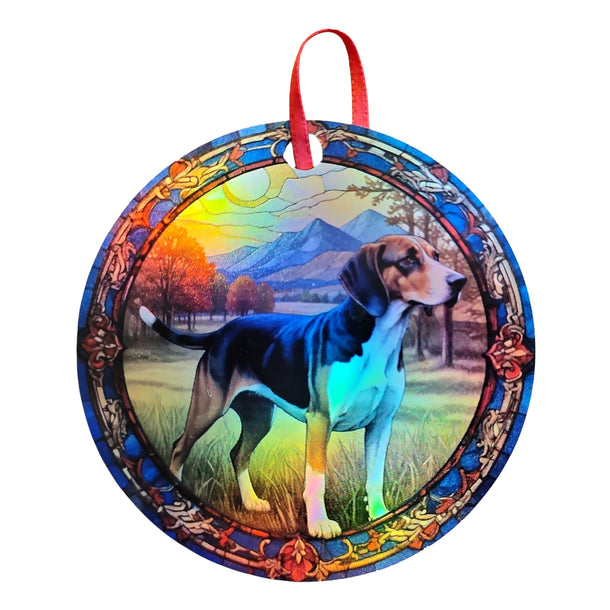 American English Coonhound 2
