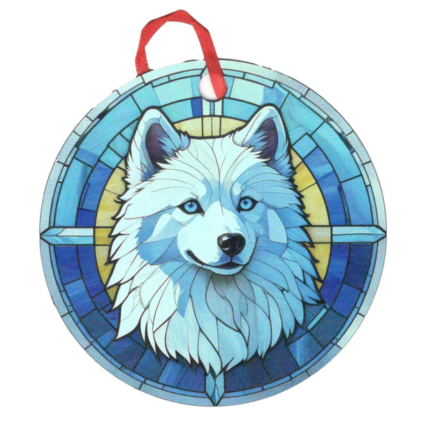 American Eskimo Blue Eyes